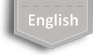 English Website